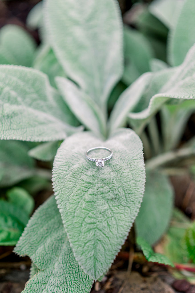 Engagement Ring | Jessica Lucile Photography