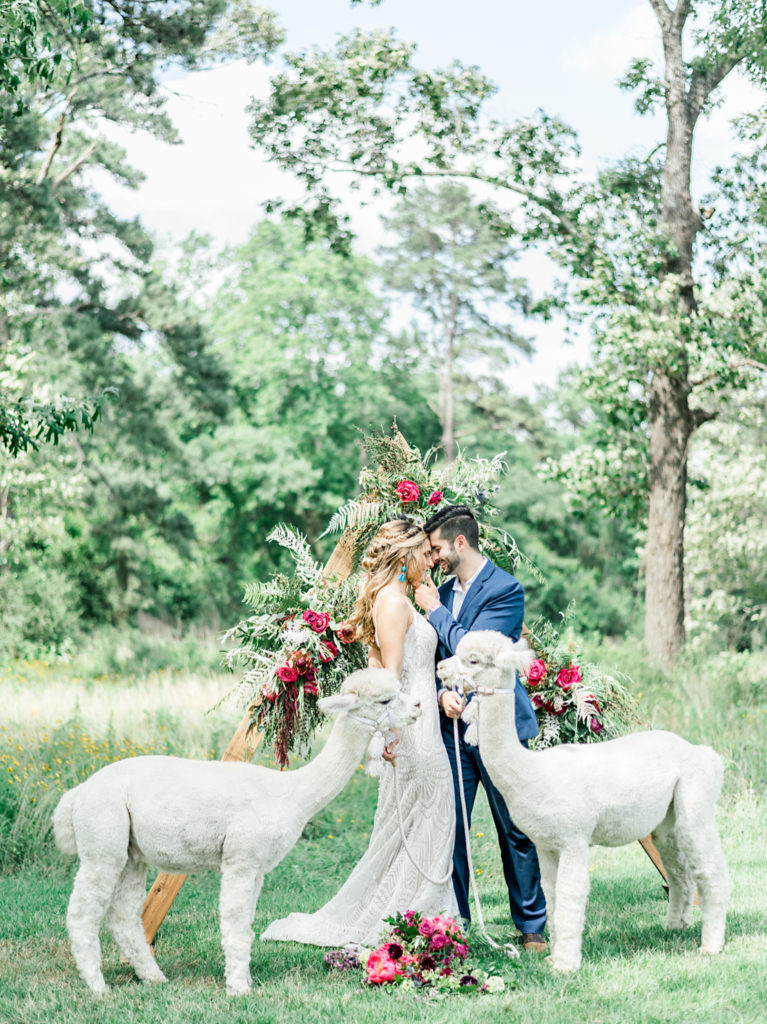 Alpacas from Texas Party Animals | Jessica Lucile Photography | Elemental Floral Events